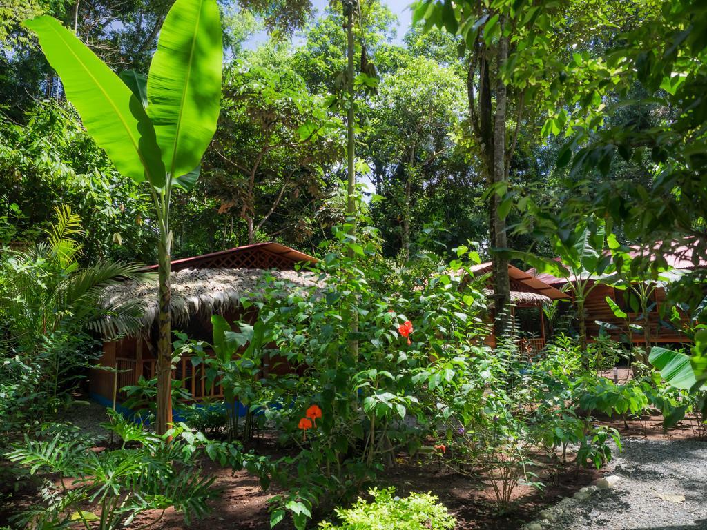Casitas Las Flores Puerto Viejo de Talamanca Kültér fotó