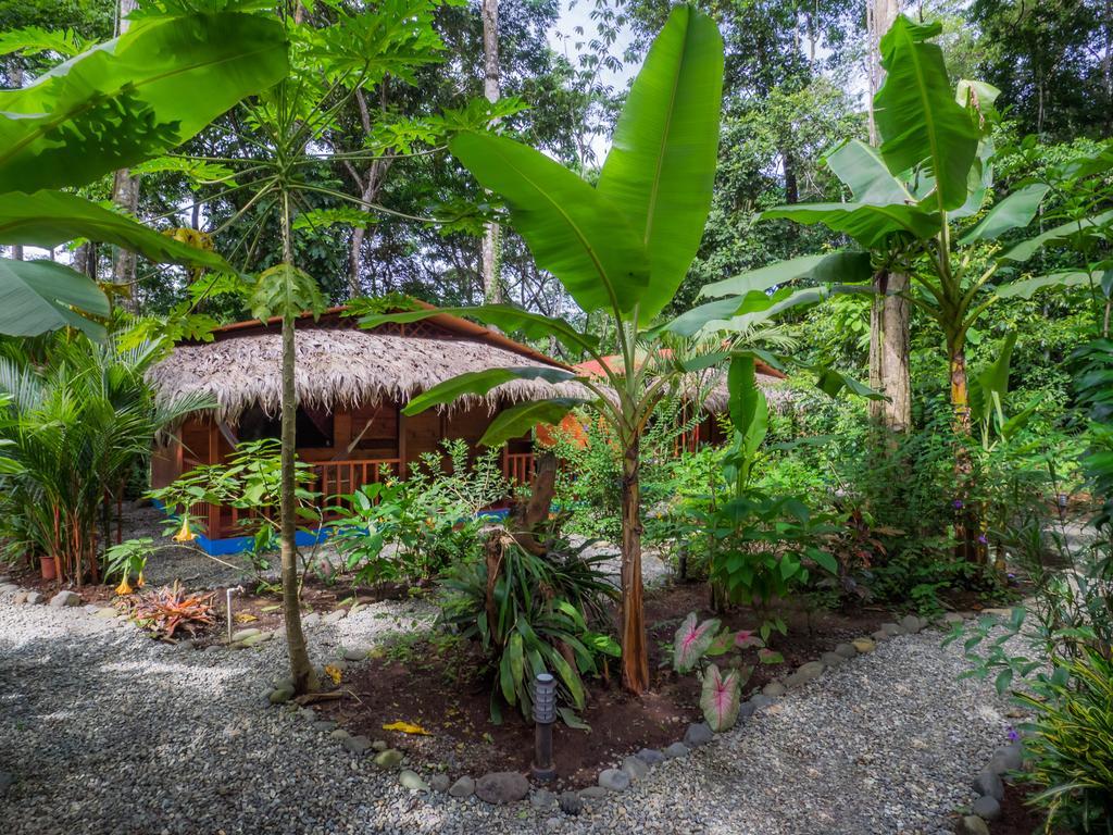 Casitas Las Flores Puerto Viejo de Talamanca Szoba fotó