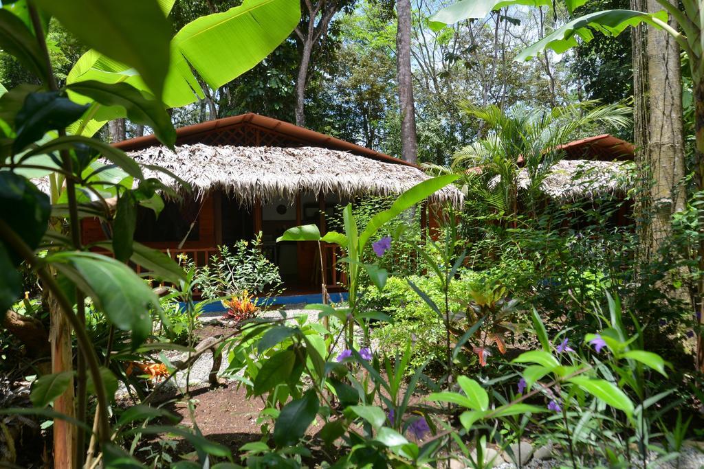 Casitas Las Flores Puerto Viejo de Talamanca Kültér fotó