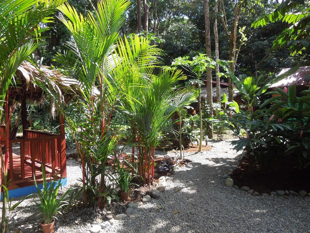 Casitas Las Flores Puerto Viejo de Talamanca Kültér fotó