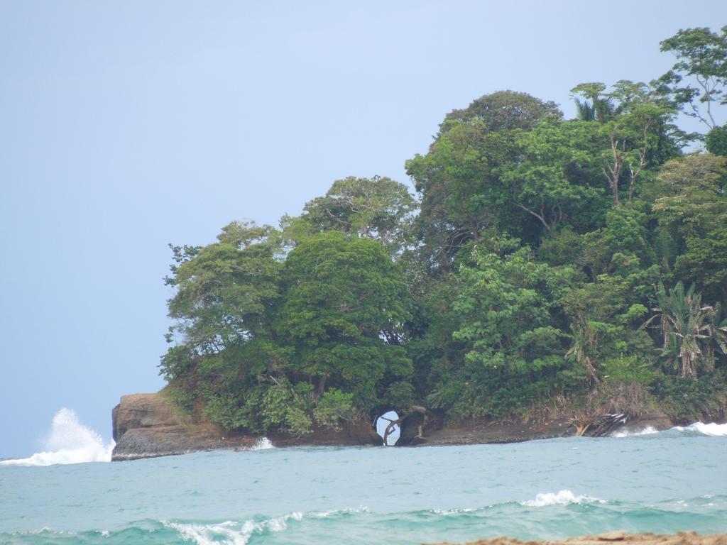 Casitas Las Flores Puerto Viejo de Talamanca Kültér fotó
