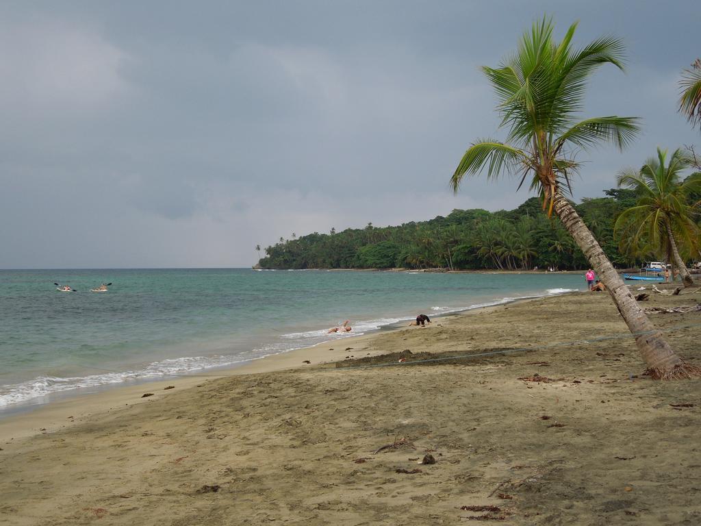 Casitas Las Flores Puerto Viejo de Talamanca Kültér fotó
